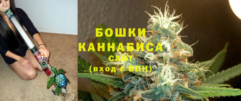 Бошки Шишки индика  закладки  Безенчук 